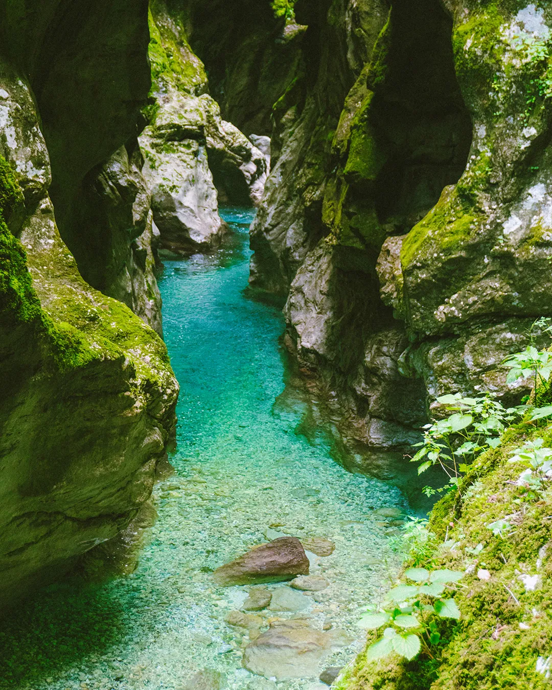 Smaragdna Soča v ozki soteski